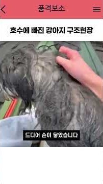 얼어붙은 호수 한복판에서 들려온 비명 소리.. 긴박했던 실제 구조 현장 🚨🥶