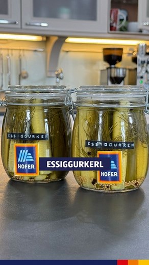 HOFER Österreich | Essiggurken selber einlegen? 🥒 Das geht ganz einfach! Dazu benötigst du frische Gurken, Dill und einen selbstgemachten Sud bestehend aus... | Instagram
