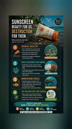 5 Everyday Things Secretly Polluting Our Planet 🌍#DidYouKnow#Facts#ScienceFacts#public#learning