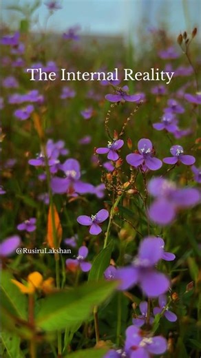 The External View vs Internal View #deepmeaning #meaning #deep