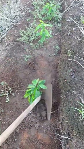 Revolutionize Your Style: Ultimate Fashion Hacks Unveiled