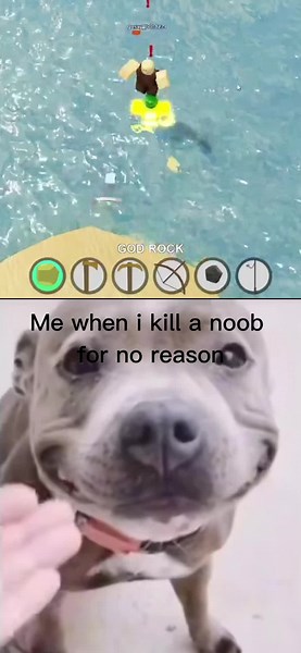 Booga Booga Funny Moments Compilation