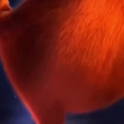 Exploring Heimerdinger in Arcane: A Character Insight