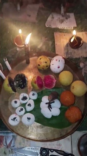 MrBeast and @beastanimationsMrBeast Lab Disaster!