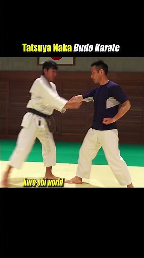 Practical application of Karate Kata【Heian-Nidan】
