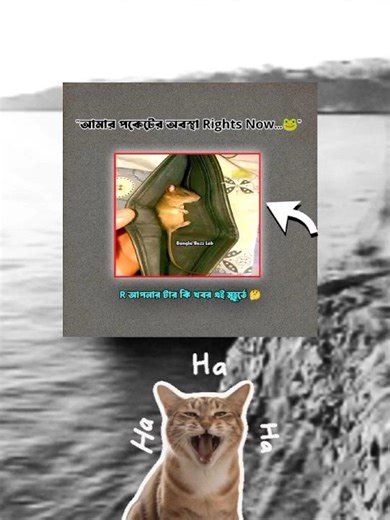 "মানিব্যাগ এর অবস্থা Rights Now ~🙂🐸 // Bangla Buzz Lab New Funny Short Stories #funny #foryou #short