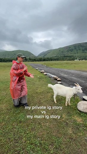 I have beef with this damn goat | Kai