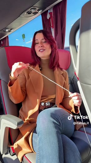 Comfort Zone on Wheels: Viaggiare con i Bus