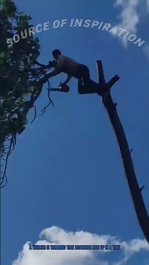 Tree Trimming Safety: Worker Cutting Branches at Height