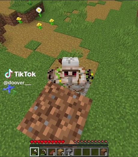 Triste História do Villager em Minecraft