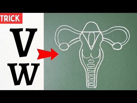 female reproductive system diagram | how to draw female reproductive system | reproductive system