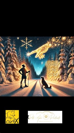 All the advent “teaser” images from @petsmakeportraits for those who may have missed them! Big thanks to Nick@for all the hard work creating theses fantastic festive images from our events. Did you recognise yourself or your friends?? #canicrossdogs #canixchampionship #christmasmagic | CaniX UK (official) Cani-Cross UK or CaniCross UK