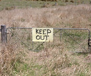 Claim Land Free In The UK (What You Need To Know) | Campfire Magazine