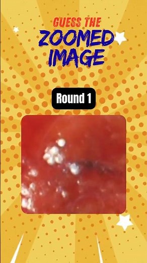 What Am I? Zoom Challenge #riddles #shorts