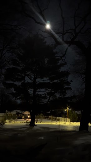 ່ (@naturwrldd)’s videos with original sound - __windowmaker__2