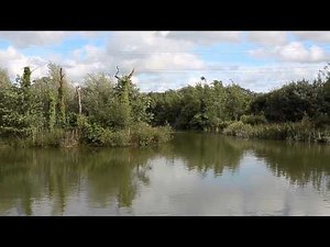 FURZEBRAY LAKES, SOUTH MOLTON, DEVON