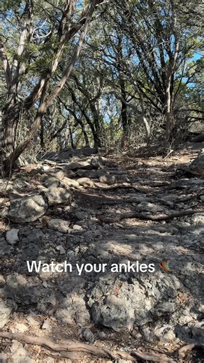 The Lower Ridgeline Trails isn’t for the feint of heart - watch your step on this one! #TexasTrails #AustinHiking #MarbleFalls #Ridgeline