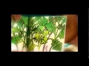 Pukeko in a Ponga Tree