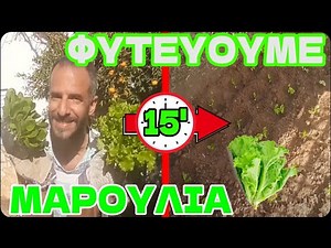 ΜΑΡΟΥΛΙΑ🥬 Καλλιέργεια στον Κήπο μας! Φύτεμα Μαρουλιών σε 15' Βήμα προς βήμα, τα πιό εύκολα λαχανικά!