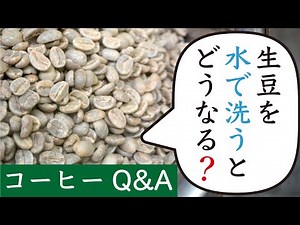【解説】生豆を洗ってから焙煎する、焙煎度合い毎に適した淹れ方とは|Nif Coffee（ニフコーヒー）