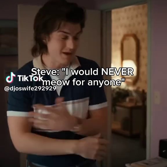 Exploring Stranger Things Fandom Trends and Connections