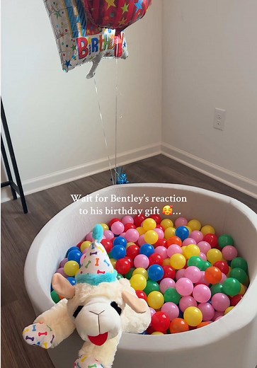 Bentley's Joyful Surprise in a Ball Pit