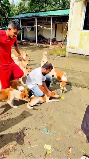 Kindness To Dog ❤️🥲 #save #rescue
