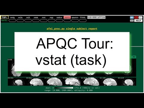 [AFNI Academy] APQC HTML: Tour vstat (task)
