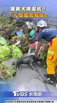 高雄搜救犬摔泥坑再爬起! 「汪汪小隊」挺進光復：人類我來救你｜TVBS新聞‪@TVBSNEWS01‬