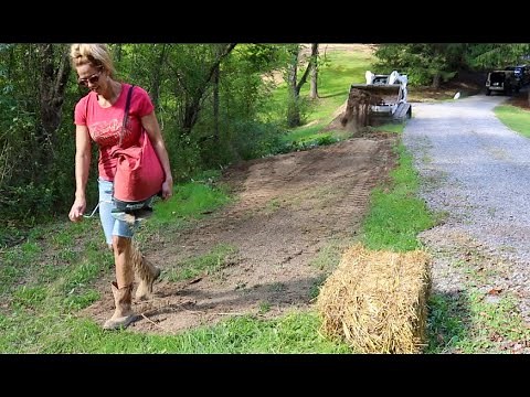 #888 Skid Steer is Here! Topsoil, Seed, Mulch, and Firewood Delivery BOBCAT T740 Skid Steer