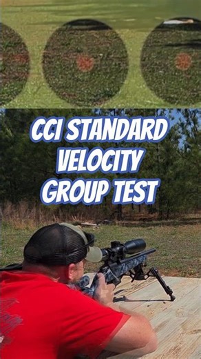 CCI Standard Velocity Group Test #precisionrimfire
