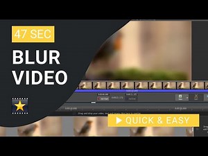 VideoPad Tutorial: How to Blur in VideoPad
