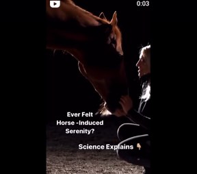 Horse-Induced Serenity: Science Explains the Calming Effect