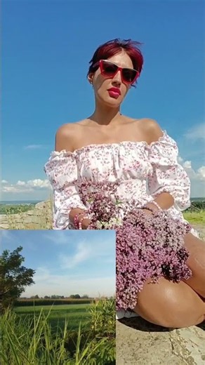 душица , материнка , трава для женщин