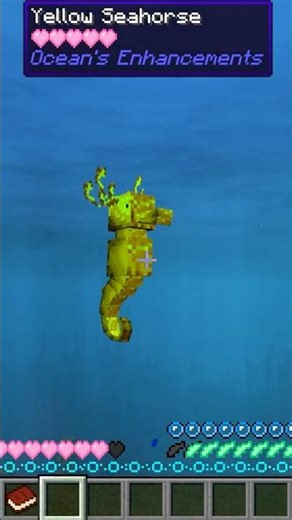 Seahorse in Minecraft!
