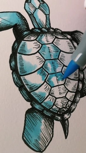 8K views · 388 reactions | How to Draw Sea Turtles #seaturtles #turtles #drawingtutorials #drawingtutorial #arttutorials #arttutorial #howtodraw #howto #reelsfb #trending | CrescentArts | Facebook