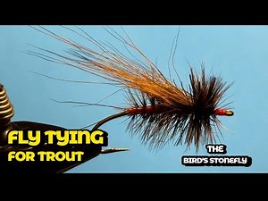 Tying Dry Flies for Trout- how to tie Bird's Stonefly