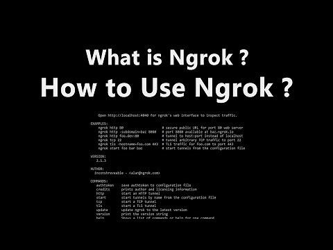 What is Ngrok? How to Use Ngrok in Windows ? XAMPP