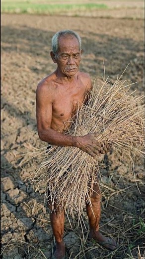 Mitos Produktivitas: Kenapa Kamu Terlalu Repot? [Fukuoka 2026] 🌾