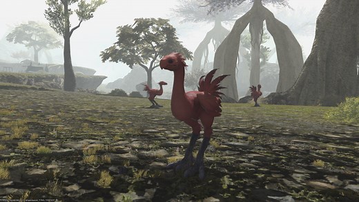 Here's How to Farm Fire Crystals in FFXIV
