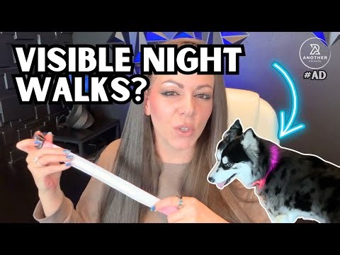 Best Rechargeable LED Dog Collar 2026 | PetIsay Waterproof Metal Buckle Collar Review