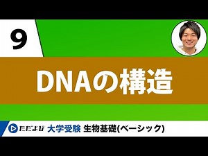 [Biology Basics] DNA Structure [Lesson 9]