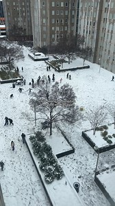 Healing our inner child with Atlanta's snow day 🥹❄️⁠ ⁠ 📹️/TT: @niyeajah #mysecretatlanta #smn #snowday | Secret Atlanta