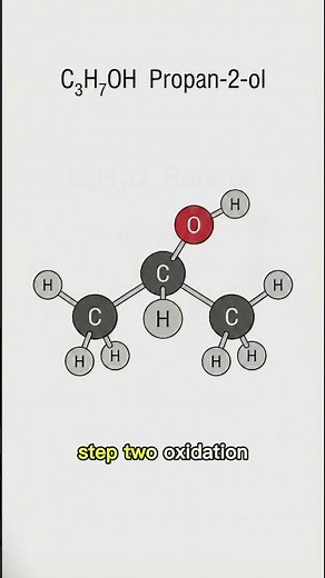 Organic Chemistry Speedrun: Functional Groups Map Alkane to Ester⚡ #science #biochemistry #chemistry