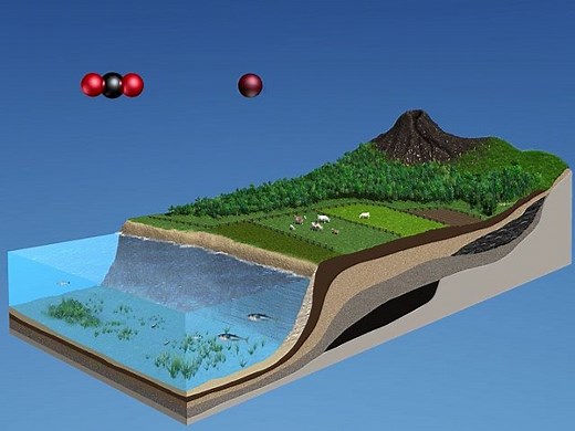 Carbon and Oxygen cycle explained | Britannica