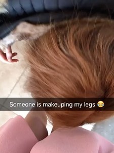 Martha Collison on Reels