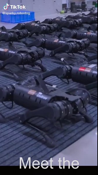 Introducing The Robo Family: A Glimpse into the Future of Robotics