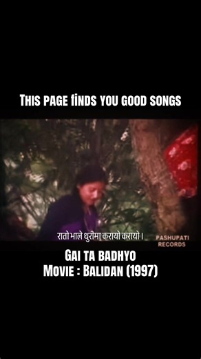 “Garibko Chameli” (“Gai Ta Badhyo”) is a landmark Nepali protest and people’s song whose roots go back to the Panchayat era, well before it appeared in the film Balidan. The song emerged from the Ralfā musical movement, a progressive cultural group formed in the 1960s. Around 2028 BS (1971/72 AD), Ralfā musicians including Ramesh Shrestha and Manjul encountered a traditional folk tune in Mugitar, Ramechhap, where two local girls performed it while striking sickles together for rhythm. Ramesh and
