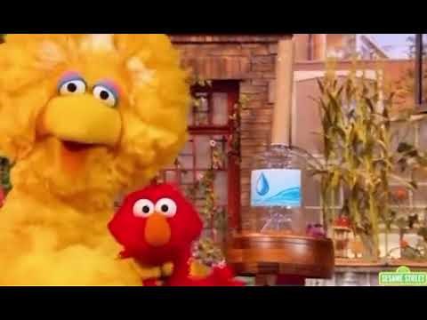 A plastic water bottle and a paper towel roll | Elmo Viral Tiktok Sound