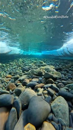 Relaxing Bubbles ASMR for Instant Calm, 10 Seconds of Underwater Bliss 🫧 |